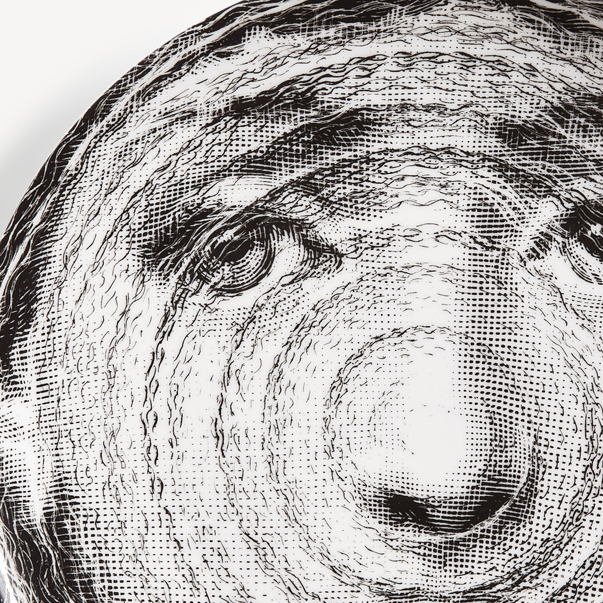fornasetti-tema-e-variazioni-wandteller-n-188-porzellan-lina-cavalieri image 4
