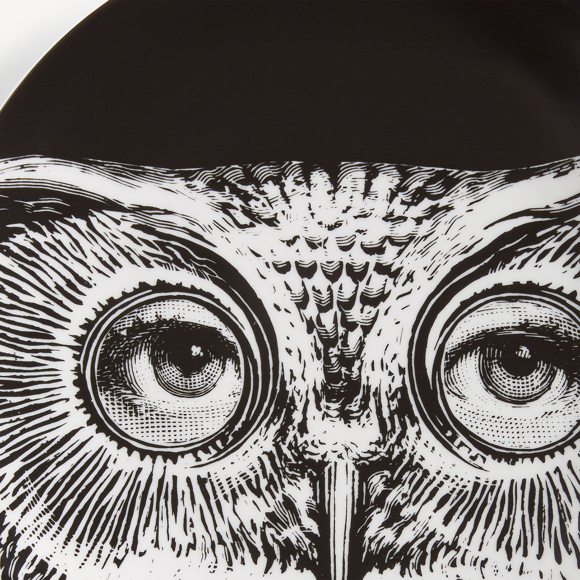 atelier-fornasetti-tema-e-variazioni-n-105-wandteller-porzellan image 4