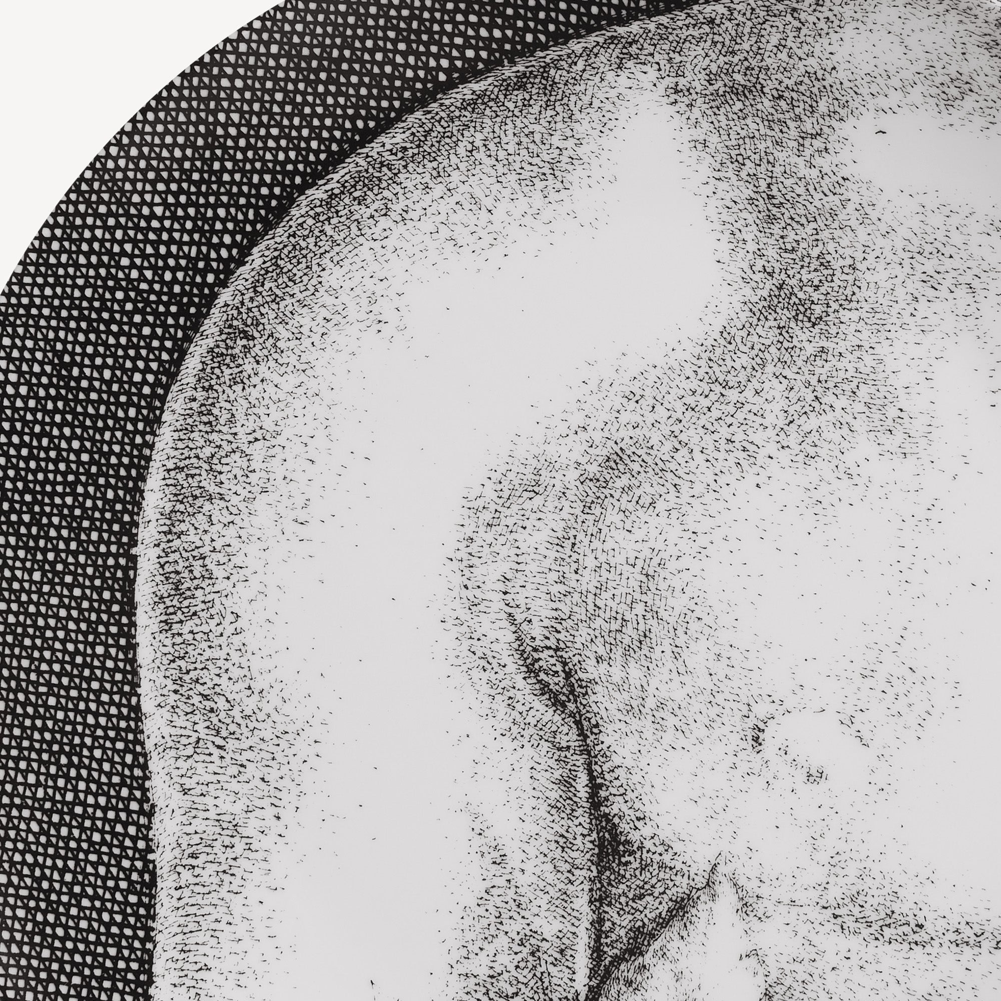 fornasetti-adamo-tellerset-12tlg-porzellan-wandteller image 4
