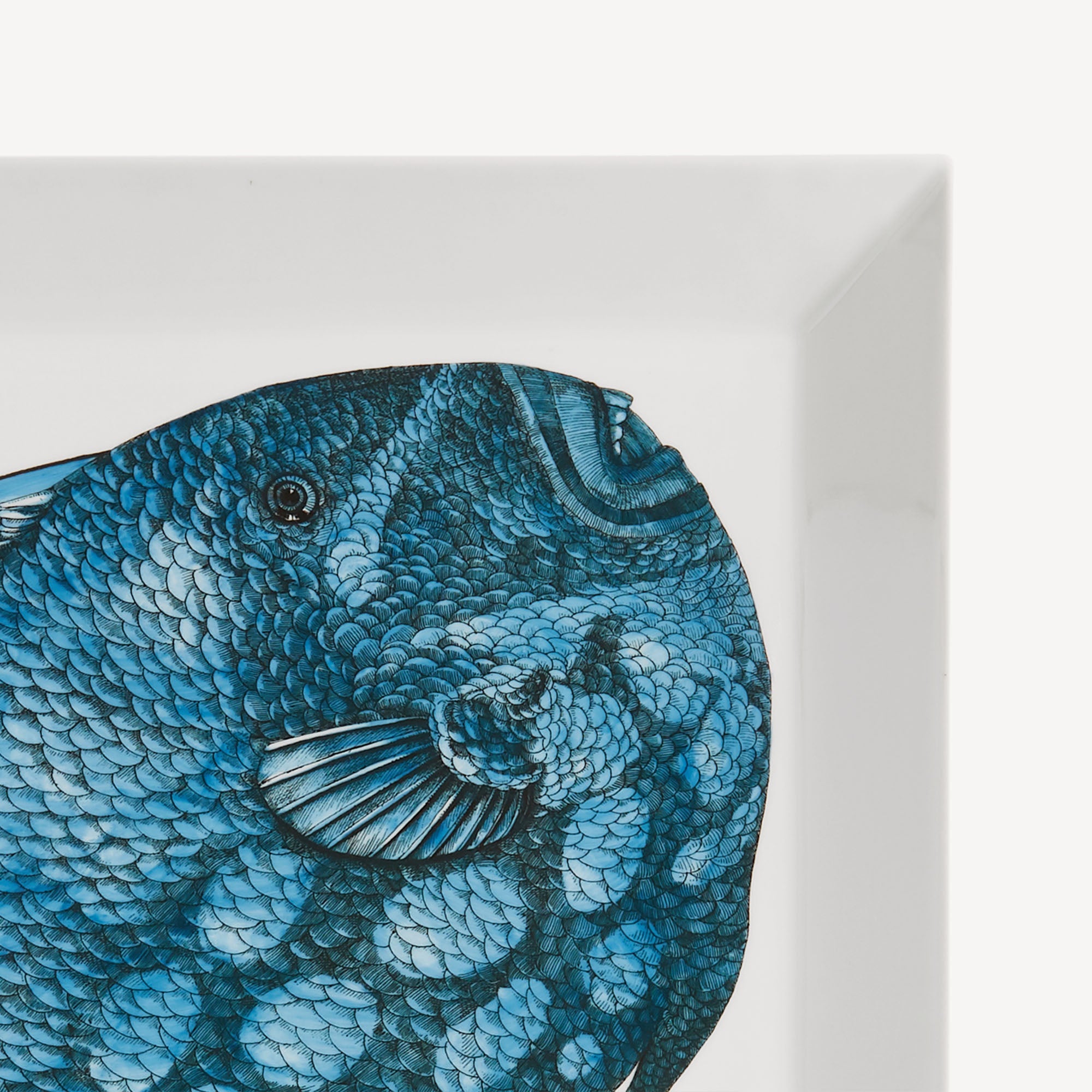 atelier-fornasetti-pesce-balestra-tablett-fisch-eckig image 4