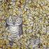 fornasetti-civette-kissen-eulen-mit-f-llung image 4