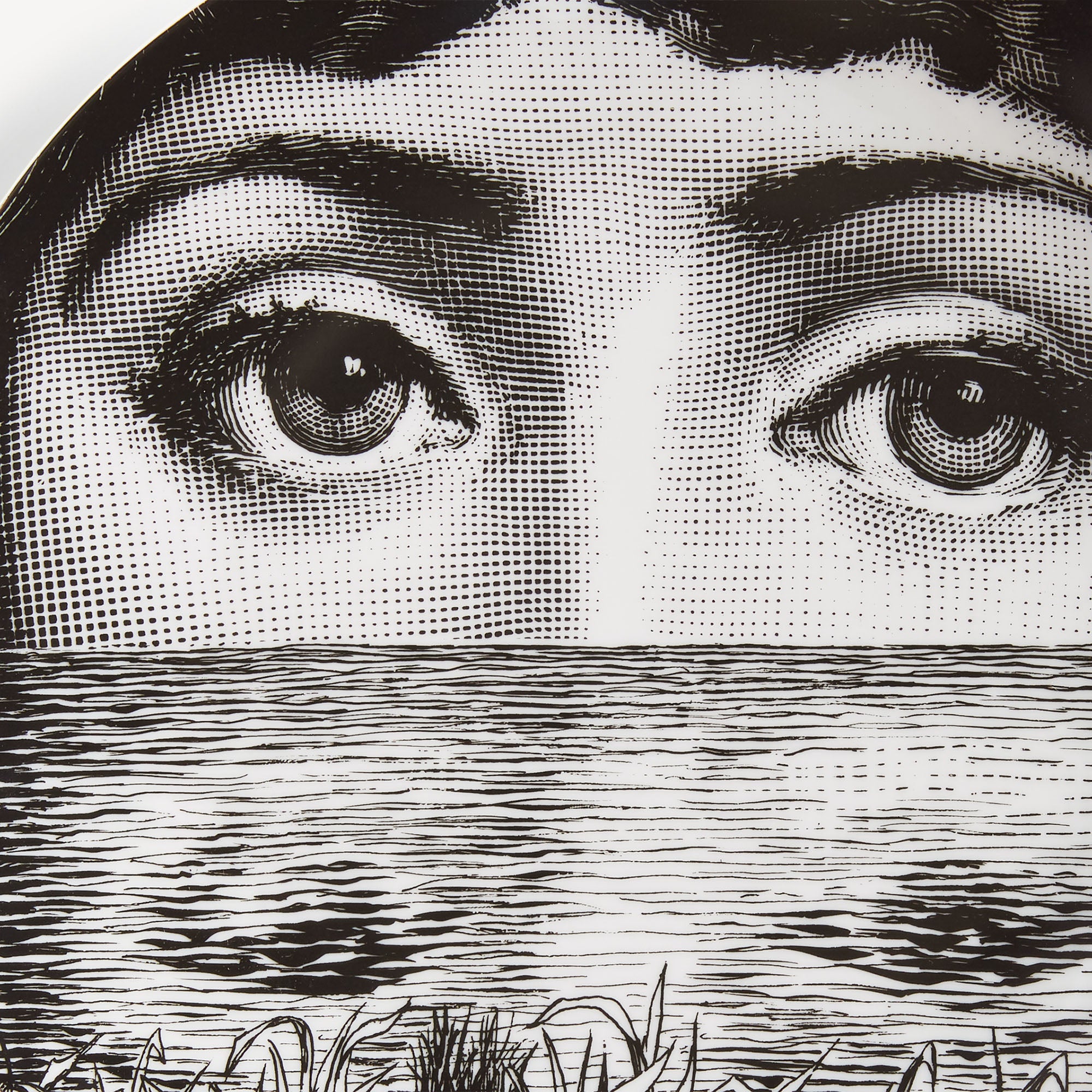 fornasetti-tema-e-variazioni-n-89-wandteller-porzellan image 4