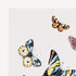 fornasetti-farfalle-buchstu-tzen-paar-metall-schmetterling image 3