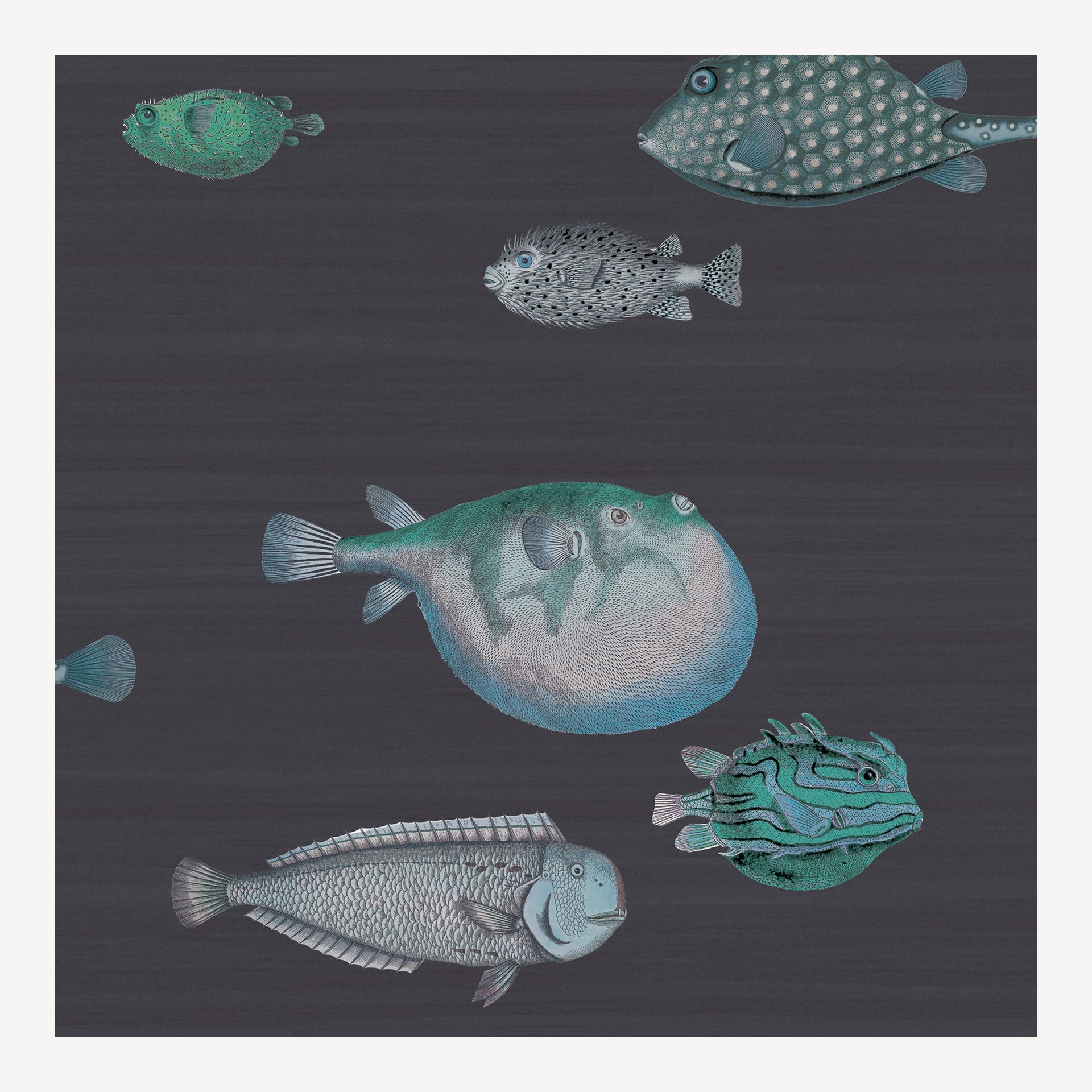 fornasetti-acquario-tapete-fisch-68-5cm-x-10m image 1
