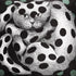 atelier-fornasetti-high-fidelity-kissen-katze-mit-punkten image 4