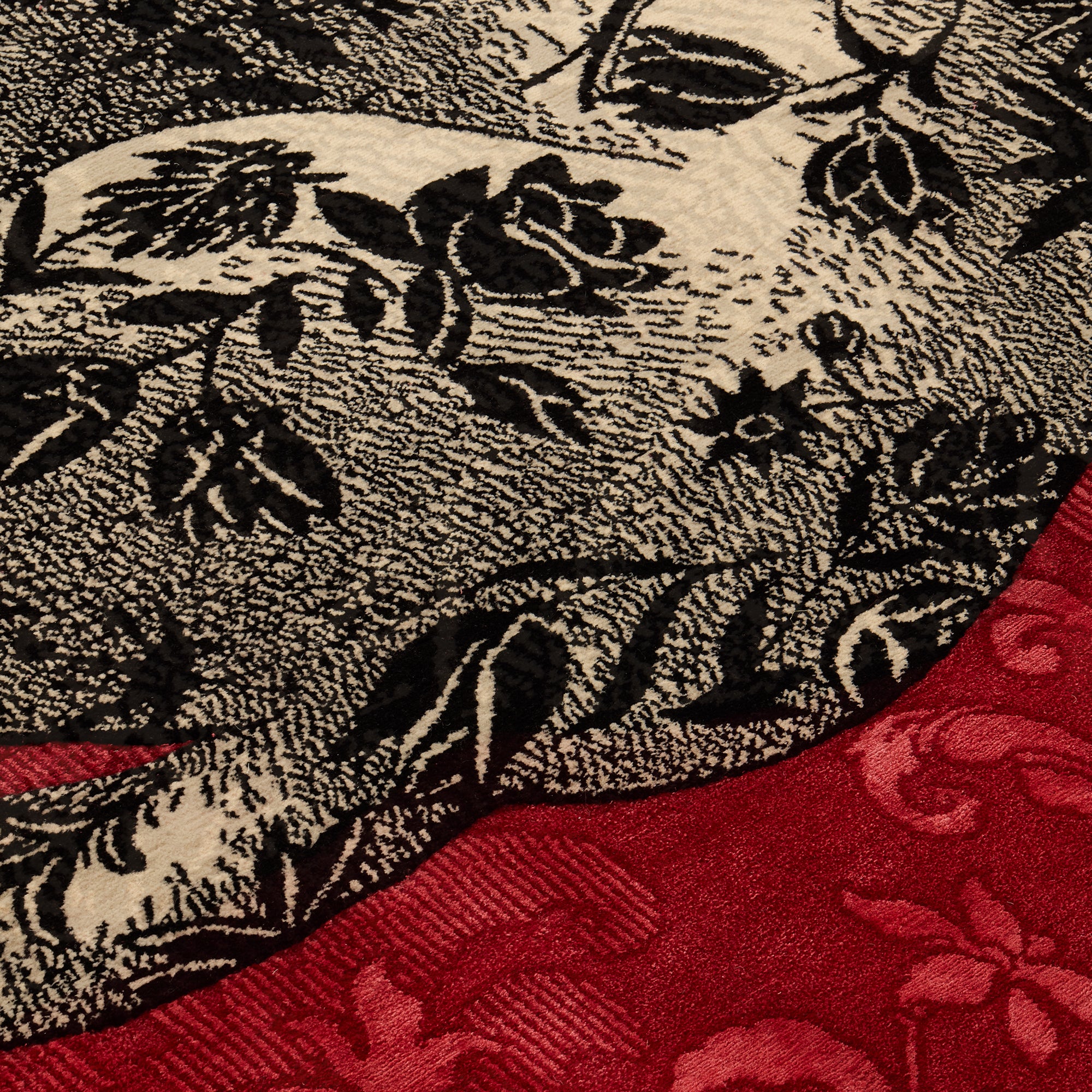 fornasetti-il-gattipanni-teppich-wolle-seide-handgekn-pft image 6