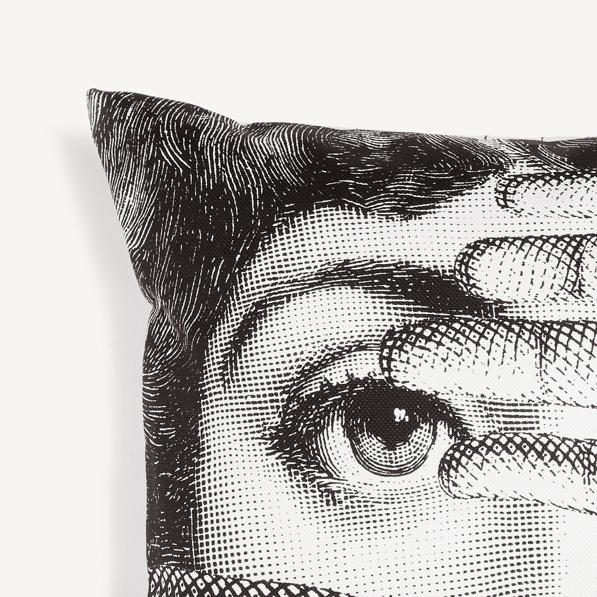 fornasetti-abbaglio-zierkissen-tema-variazioni-motiv image 3