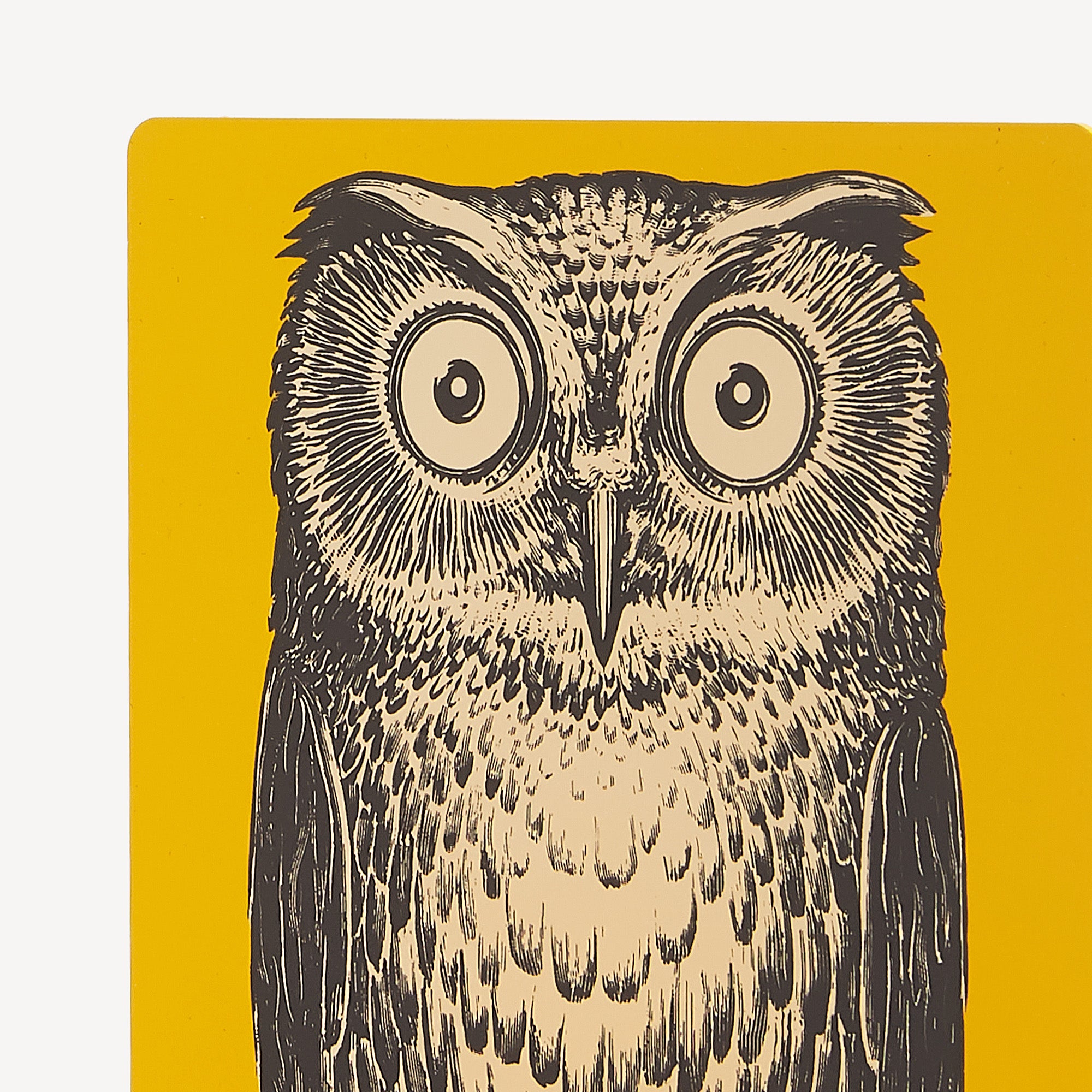 fornasetti-civetta-b-cherst-tzen-eulen-metall-paar image 3