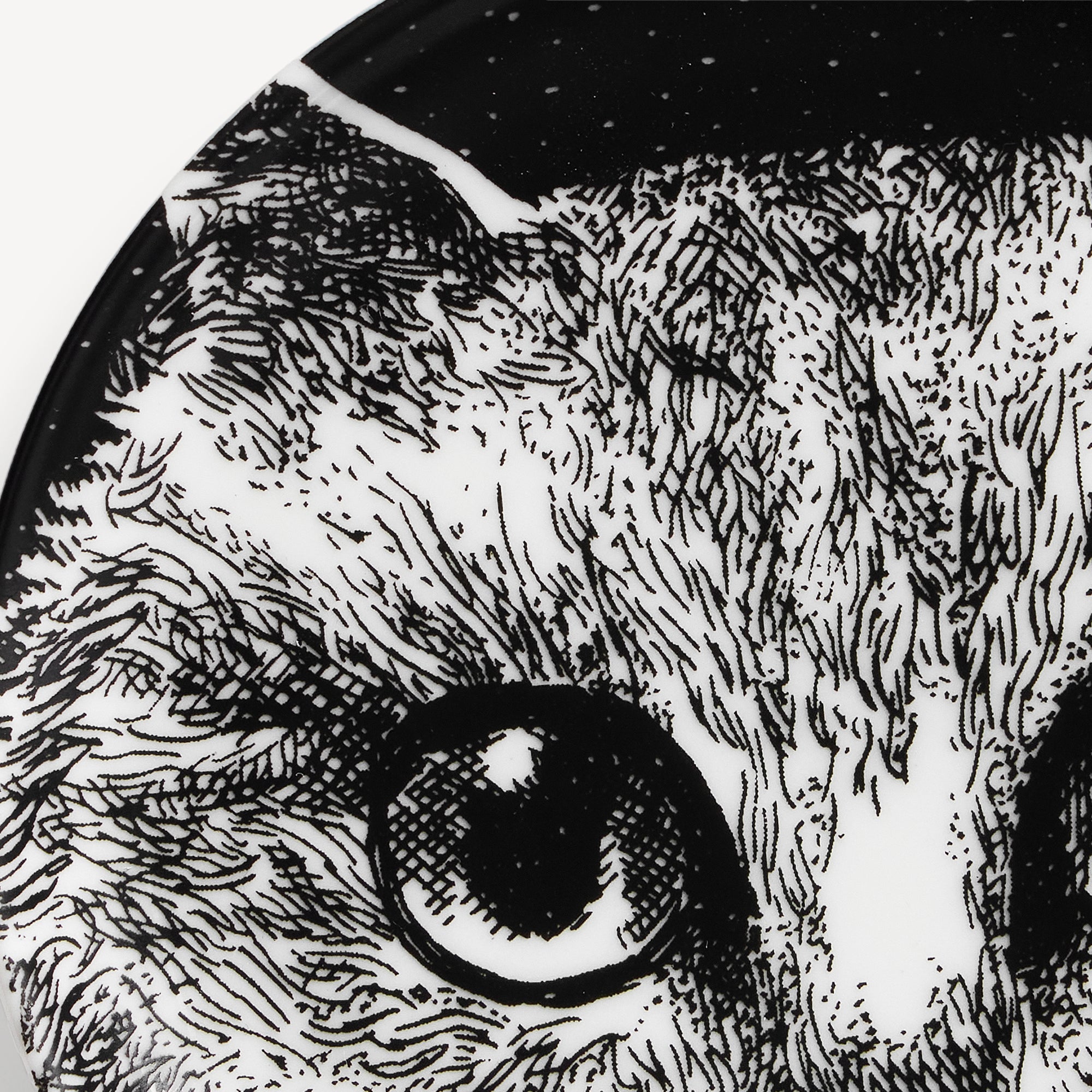 atelier-fornasetti-gatti-no-2-schale-katzenmotiv-porzellan image 4