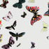 atelier-fornasetti-farfalle-couchtisch-holz-schmetterling image 3